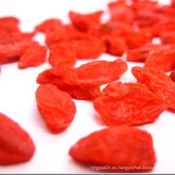 De alta calidad bajo-plaguicida Goji Super Fruit